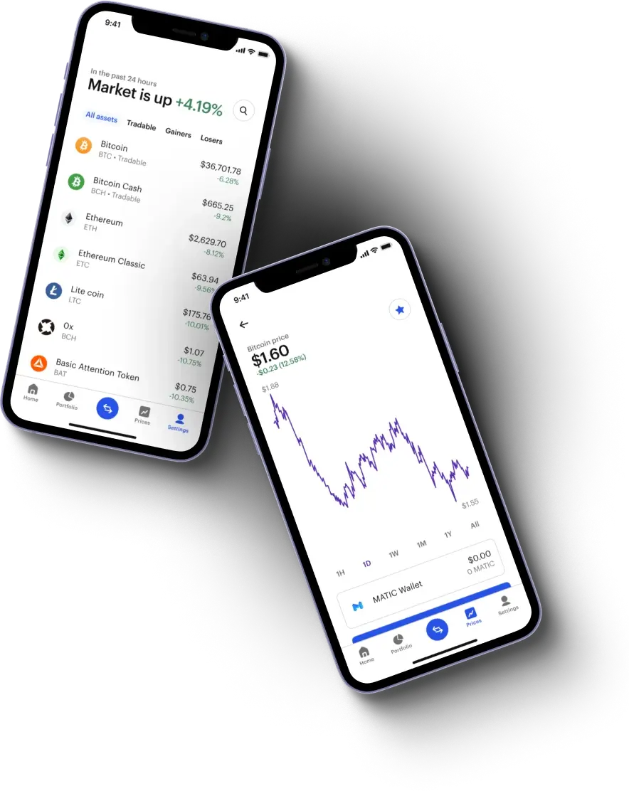 Monetysis - What exactly is the Monetysis?